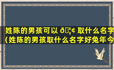 姓陈的男孩可以 🦢 取什么名字（姓陈的男孩取什么名字好兔年今年是兔年）